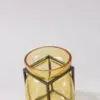 Cage Glass Vases