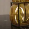 Cage Glass Vases