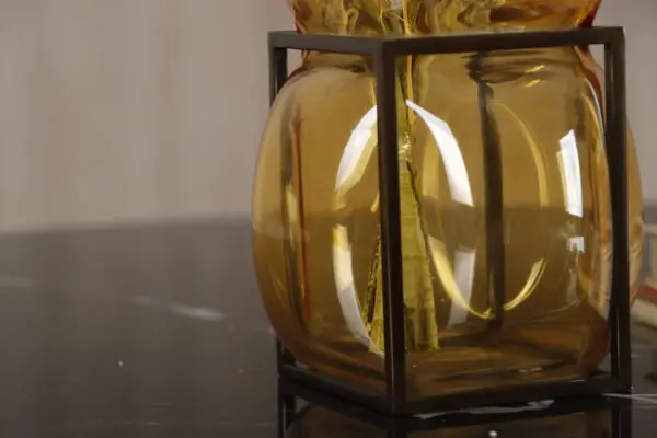 Cage Glass Vases