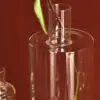Glass Bloom