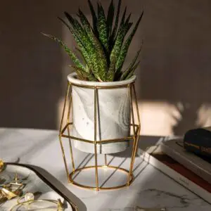 Ceramic Flower Pot