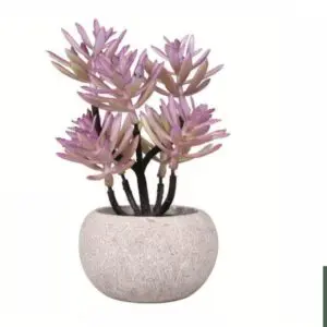 Paper Purple Bloom