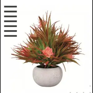 Red Pulp Planter