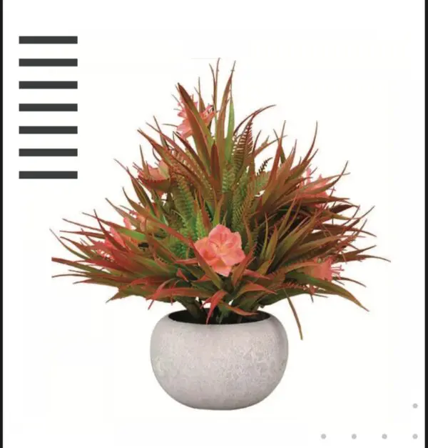 Red Pulp Planter