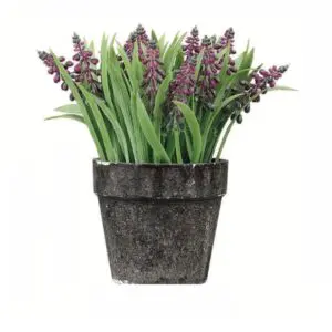Paper Purple Pot