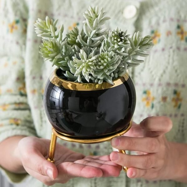 Ceramic Plant Pot