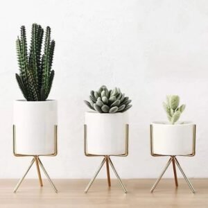 Ceramic Plant Pots