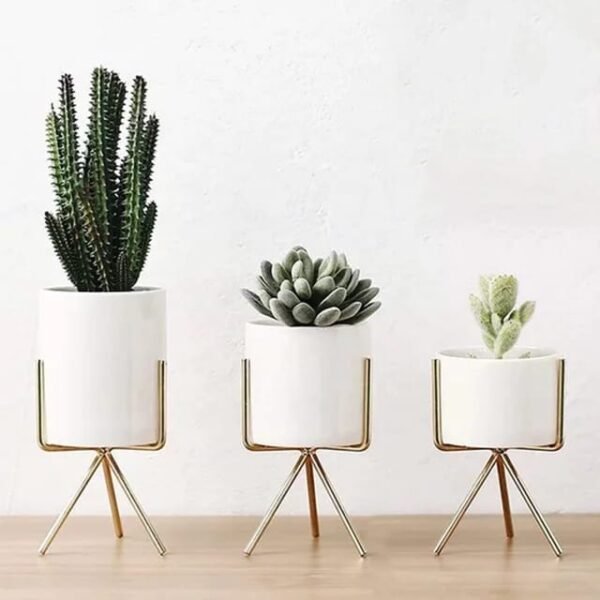 Ceramic Plant Pots