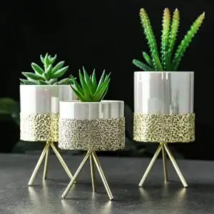 White Ceramic Pots