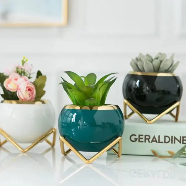 Plant Flowers Vase