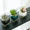 Plant Flowers Vase