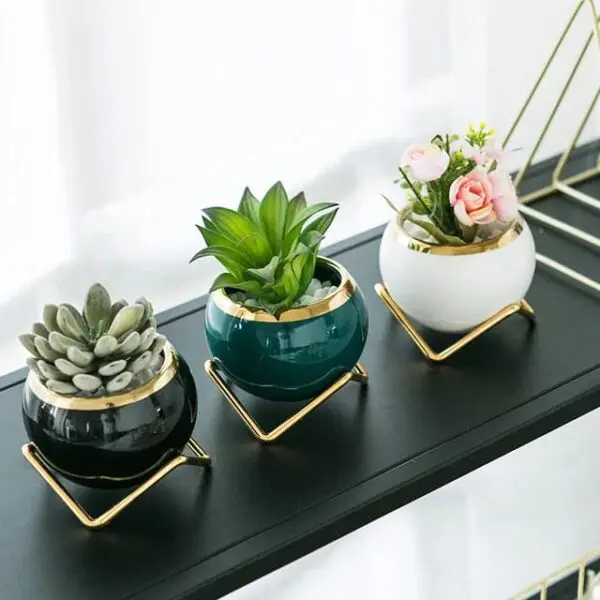 Plant Flowers Vase