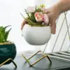 Plant Flowers Vase