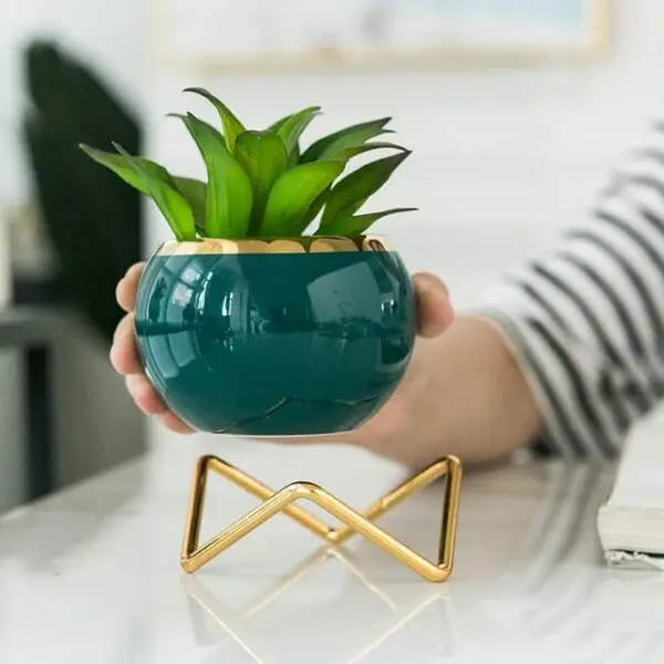 Plant Flowers Vase