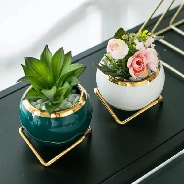 Plant Flowers Vase