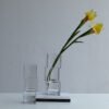 Geometric Glass Vases