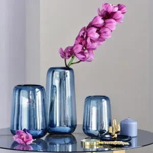 Hydroponic Style Vases