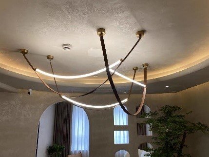 Curved Ceiling Light